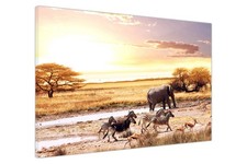 Afrikanische wilde Tiere Safari Leinwand Wandbild Kunstdruck Bild für Wohnzimmer