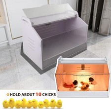   Brutinkubator Küken