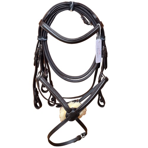 Premium mexikanische grackle - premium,