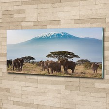 Glas-Bild Wandbilder Druck auf