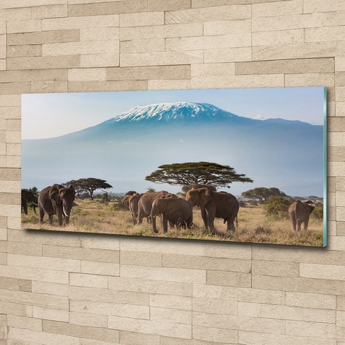 Glas bild wandbilder - wandbilder, druck