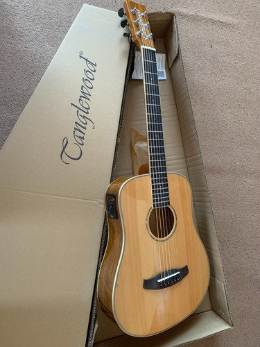 Gitarre und gigbag - gitarre,