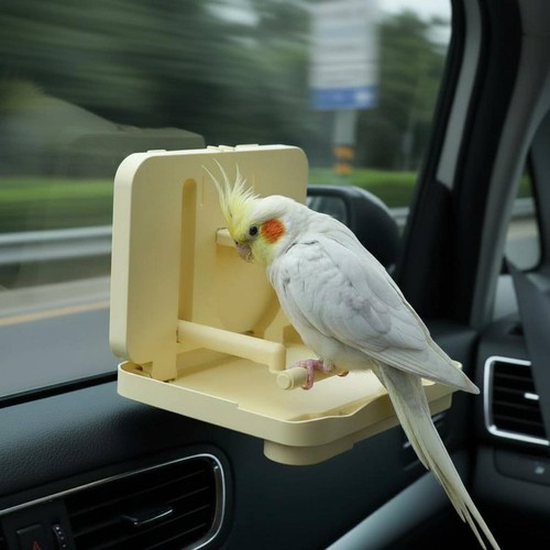 Saugnapf vogelständer tragbar - saugnapf,