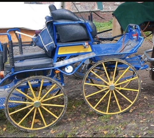 Kutsche marathonwagen - kutsche,