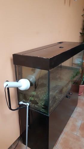 Aquarium komplett mit - aquarium,