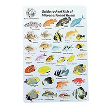 Natural World Press -