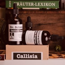 Callisia fragrans Tinktur