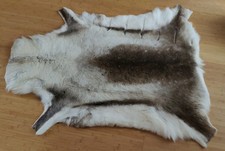 Echtes Rentierfell Aus