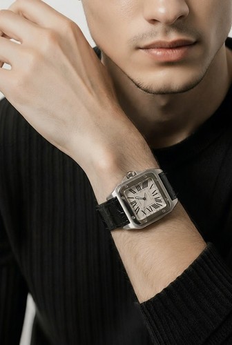Cartier santos 100 edelstahl - 100,
