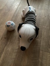Teksta Roboter Hund
