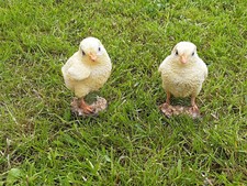 Gartenfigur Küken 2er-Set