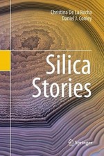 Silica Stories - 9783319853062
