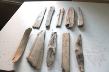 Schwemmholz Treibholz 10