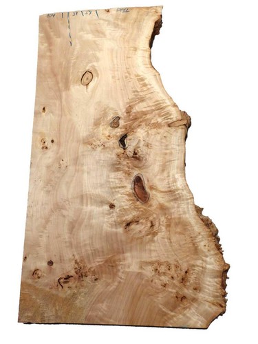 Pappel maser holz - pappel,