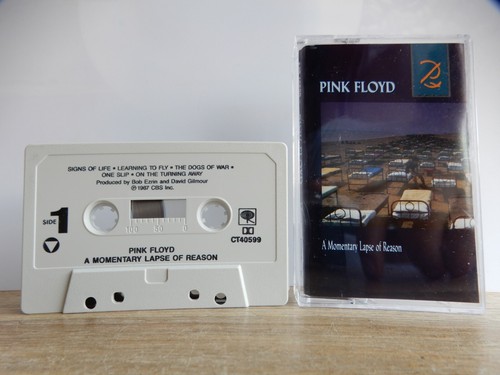 Pink floyd momentary - pink, lapse