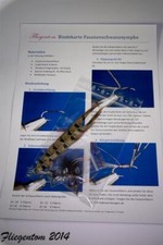 Bindeset Fasanenschwanznymphe