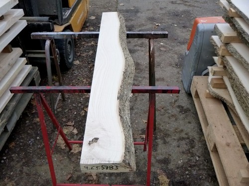 Eschenholz esche bohlen - eschenholz,