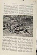 Original alter antiker Druck