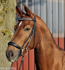 Trense incl. Zügel