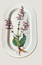 Villeroy & Boch V&B Botanica