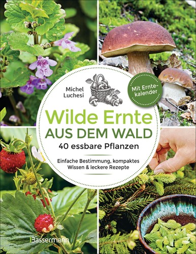 Wilde ernte aus dem wald - aus,