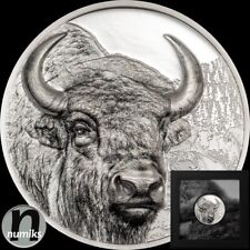 BISON - Mongolei 2025 - 3 Oz