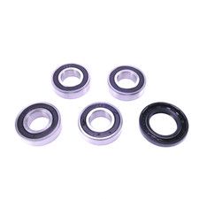 Radlager Satz hinten für Cagiva Navigator 1000 M500AA 2000-2005 Hinten 