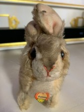 Steiff Hase PUMMY