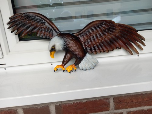 Weißkopfseeadler garten - weißkopfseeadler,