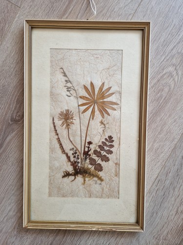 Herbarium bild mit trockene
