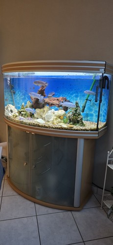 Aquatlantis