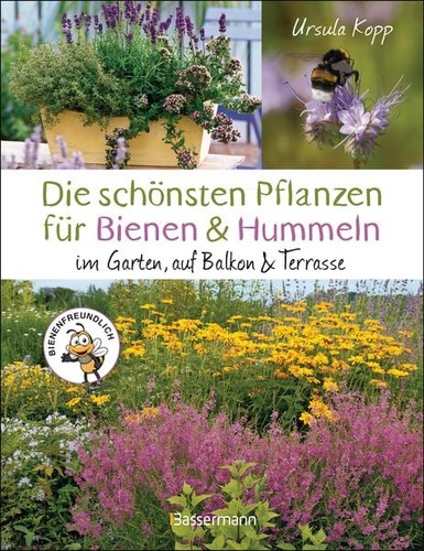 Die schönsten pflanzen für - schönsten,