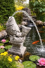 Wasserspeier/Wasserspiel Fisch