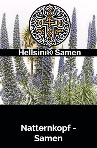 Natternkopf echium vulgare - natternkopf,