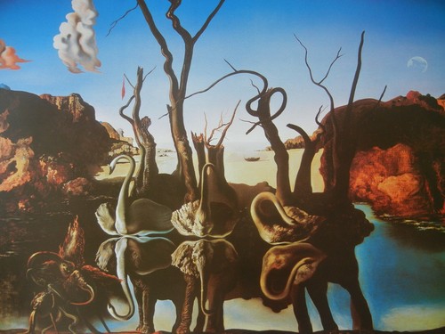 Salvador dali swans reflecting - salvador,
