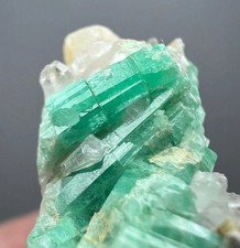 24 GM Top grüne Smaragd