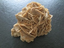Sandrose wüstenrose mineral - sandrose,