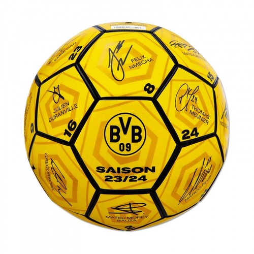 Borussia dortmund - borussia,