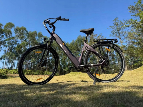 Ttgo elektrofahrrad - ttgo, se