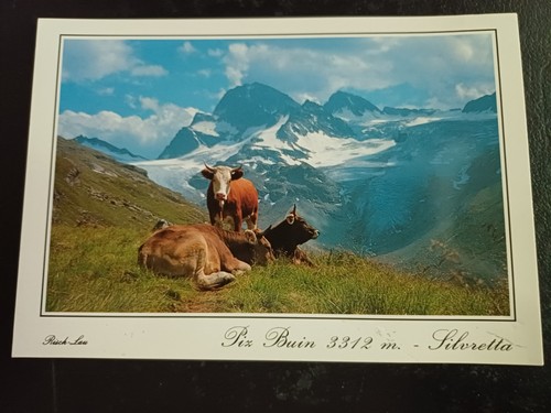 Pix buin silvretta berg - ak,
