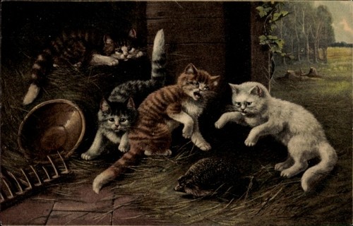 Litho katzen haben einen - litho,
