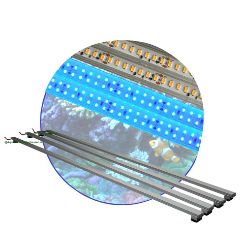 Meerwasser aquarium - meerwasser,
