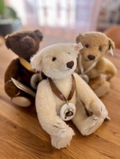 Konvolut 3x Steiff Teddybär