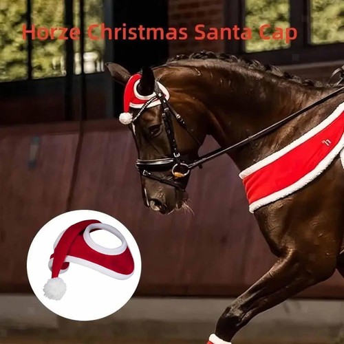 Weihnachtspferdehut reiten - weihnachtspferdehut,