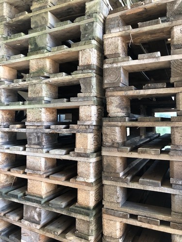 Einwegpalette 120 cm euro - 120,