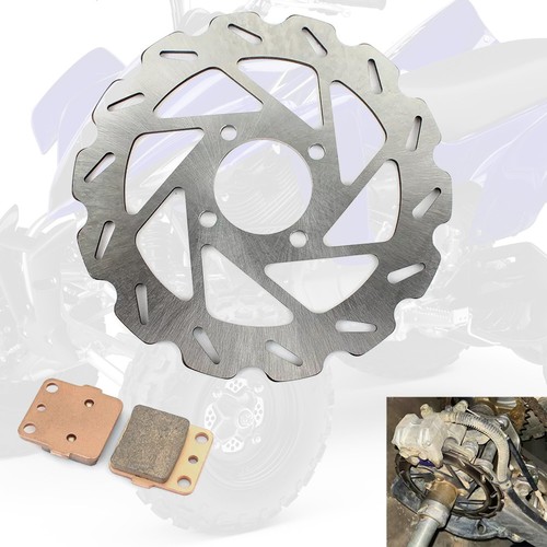 Bremsscheibe hinten beläge - +,