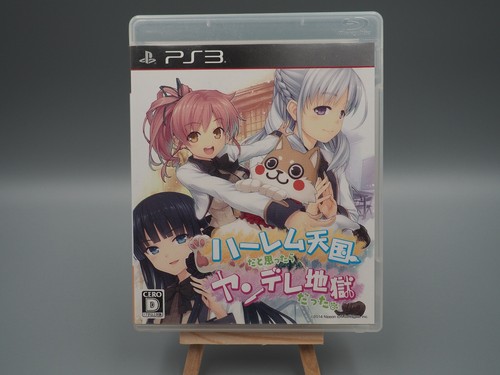 Harem tengoku omottara - tengoku, to
