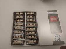 16 Zahngarnituren A1 T4 Merz