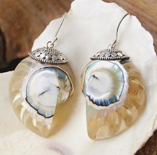 Silber Ohrhänger Nautilus Muschel Ammonit Fossil Elegant Spirale Blau Natur Bunt