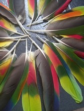 Papageien Federn (Amazonen ) 20 Stück